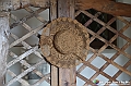VBS_7332 - Mostra 'Albissola-Monteu Roero. Collezione piatti d'arte e antichi vasi da farmacia